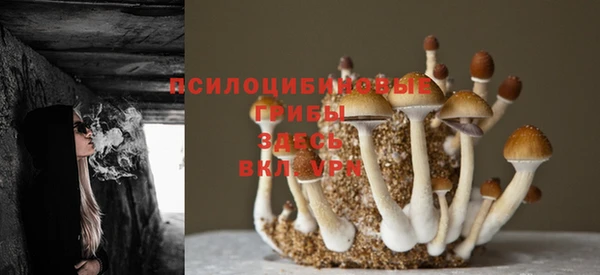jwh Гусиноозёрск