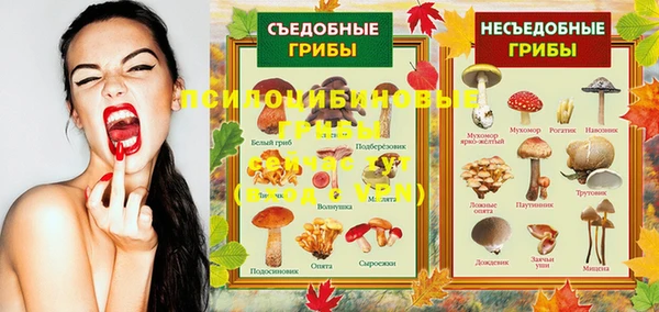jwh Гусиноозёрск