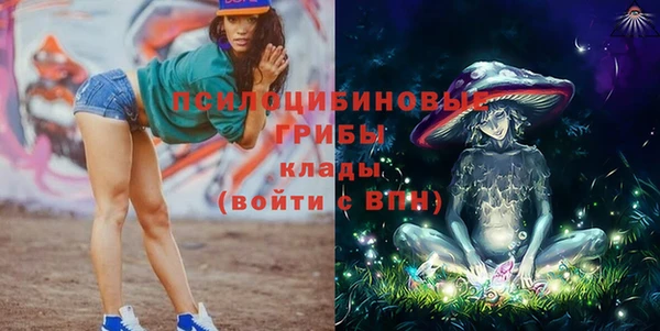 мет Дмитриев
