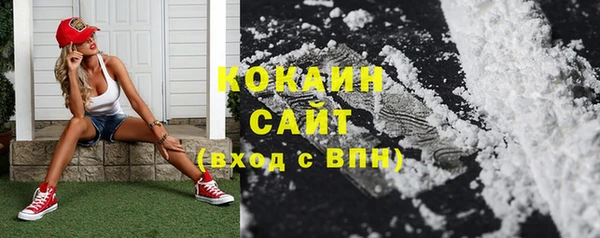 ешки Гусев