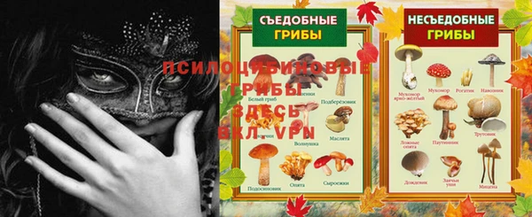ешки Гусев